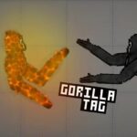 Gorilla-tag3418.jpg