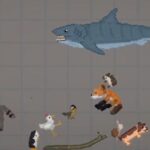 Animals4348.jpg