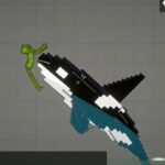 orca5132.jpg